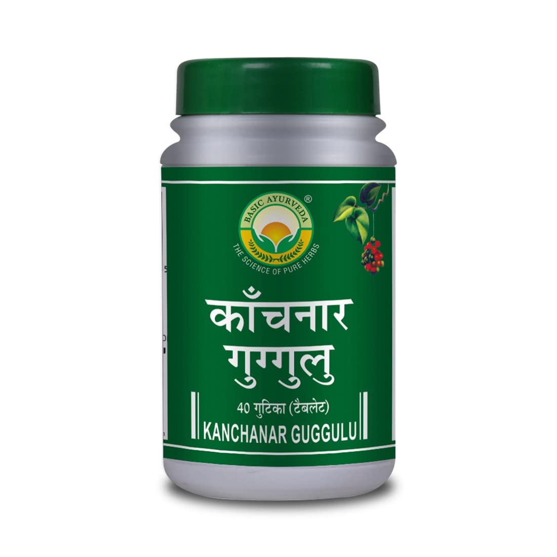 BASIC AYURVEDA Kanchanar Guggulu 40 Tablets Pack Of 8 | (B0B2P78NQJ) Amazon Price History, Amazon Price Tracker