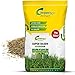 Produktbild Greenyp® Super Rasen I sattgrüner Premium Zierrasen Nachsaat I Traumrasen Grassamen Rasensamen Rasensaat Gras besonders dichtwachsend 5kg für 200m²