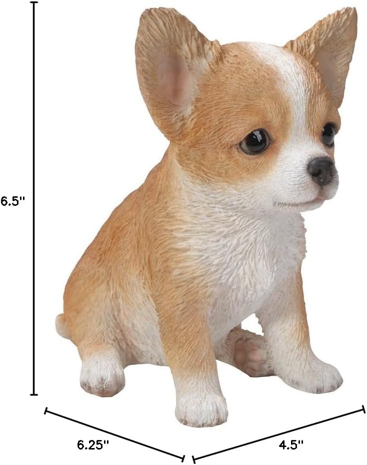 Miniatura 4 de Hi-Line Gift Ltd Estatua de cachorro de Chihuahua, marrónblanco