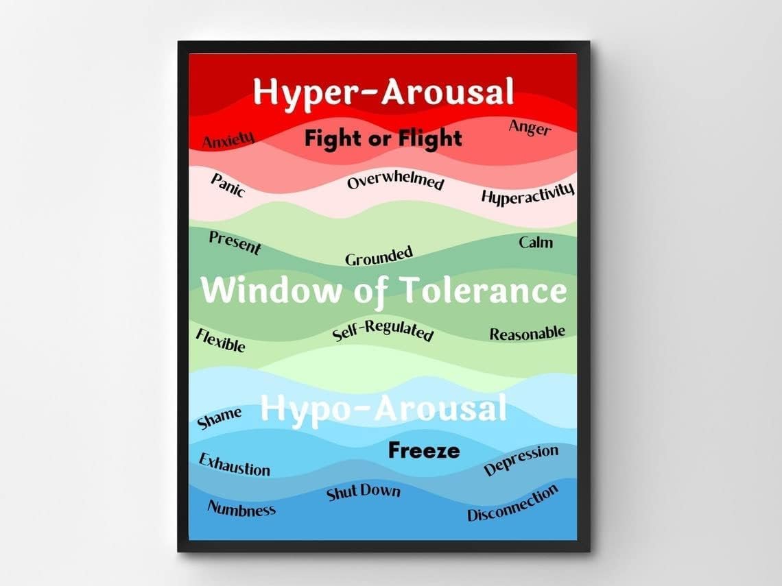 Pivjhf Educational Posters Window Of Tolerance Poster Office Wall Art Decoration Gift Back To School Vertical Poster Metal Tin Sign Wall Art For Room Aesthetic 8X12 Inch