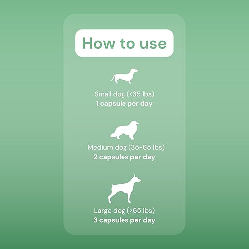 Miniatura 2 de OptiMins - Cápsulas de vitaminas y minerales para perros, nutrientes esenciales para la salud, vitalidad y apoyo inmunológico, multivitamínico,