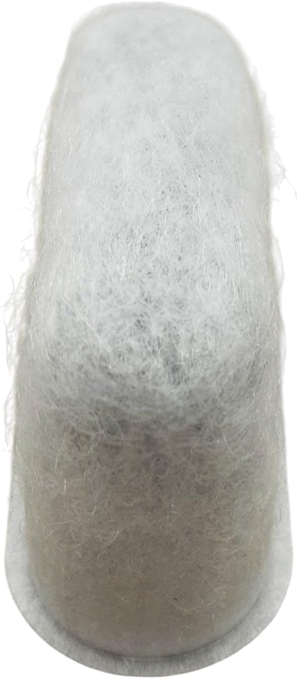 Delonghi 7313285779 Carbon Filter