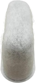 Delonghi 7313285779 Carbon Filter