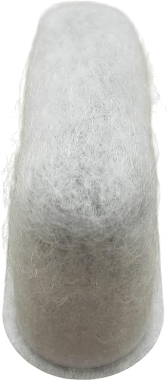 Delonghi 7313285779 Carbon Filter