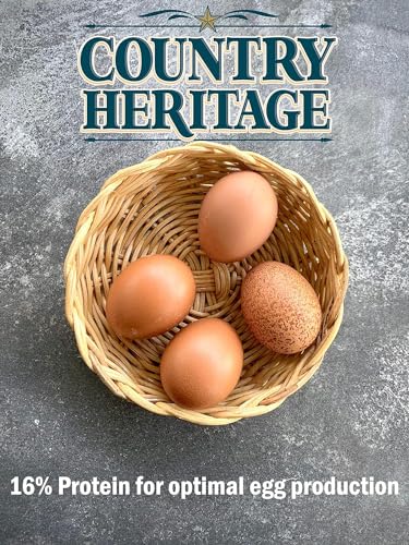 Country Heritage Chicken Layer Crumble 16% Protein Feed for Egg Layers 50 Pounds - Thumbnail 5