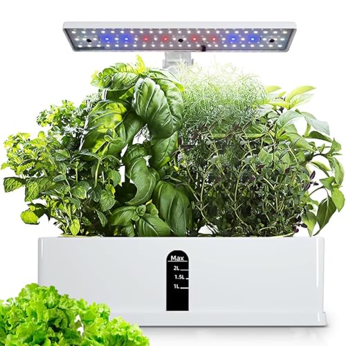 Système de culture hydroponique avec lumière de culture à spectre complet, kit de jardin d'intérieur pour herbes et légumes, parfait pour la cuisine et les cadeaux