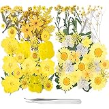 19 Types 78PCS Yellow Dried Pressed Flowers for Resin - Youthbro Real Nature Flowers Herb Set for...