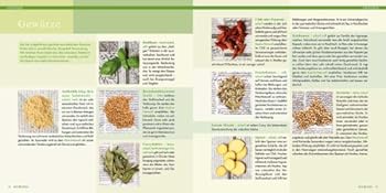 Paperback Ayurveda [German] Book