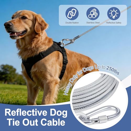 Image of TAZLYN Stainless Steel Clothesline Rope Steel Wire for Clothes Drying kapda sukhane ka rassi