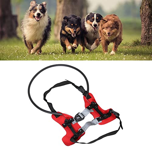 Blind Dog Bumper Collar, Adjustable Blind Pet Halo Reflective Strips for Home (S), Small - Image 2