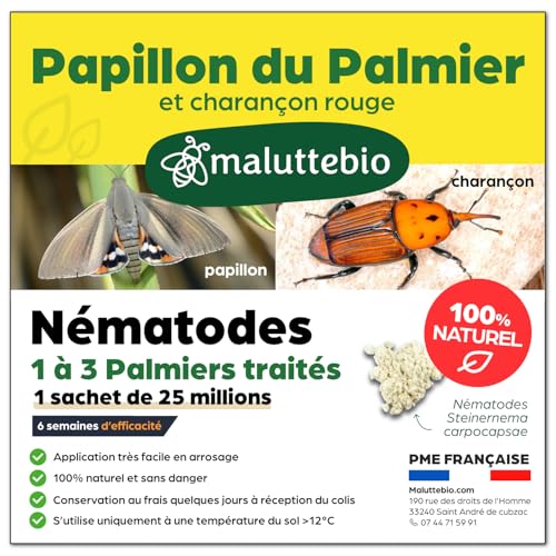 Nématodes contre le Papillon du palmier et le Charançon Rouge - Nematodes Palmier - Pour traiter 1 à 3 palmiers