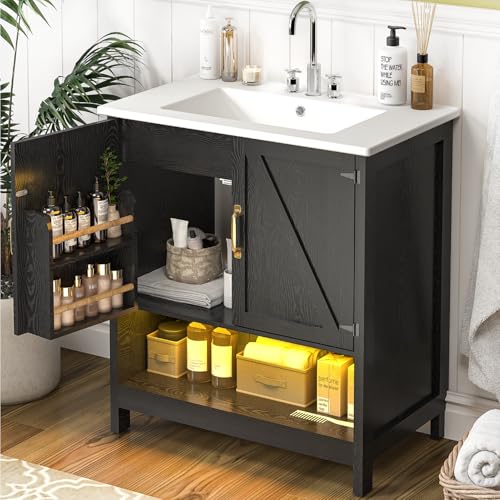 ELEVACHIC 30' Bathroom Vanity with Sink, Modern Bathroom Cabinet with LED Light, Bathroom Vanity...