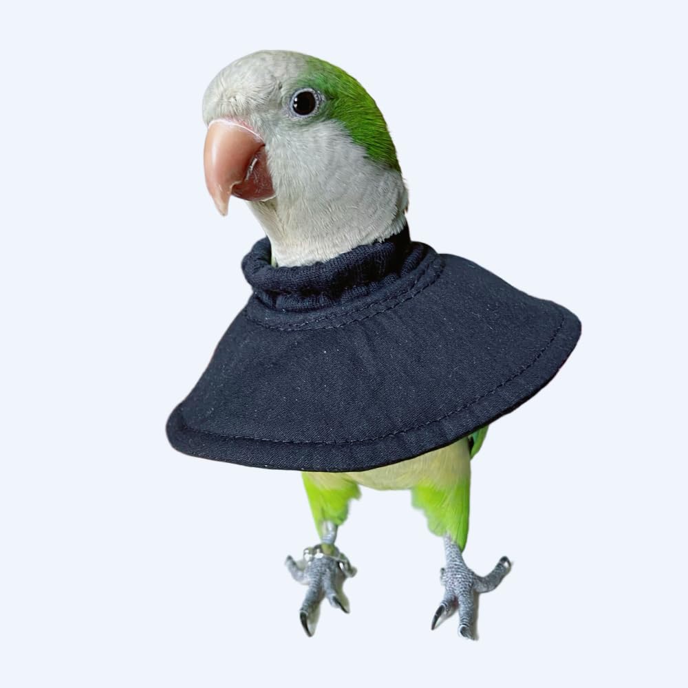 Parrot Neck Collar, Anti-bite Picking Feather Healing Protective Cover for Birds (4XL)