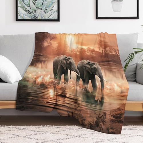 Couverture éléphants idéale pour canapé lit et soirées camping cocooning - 3