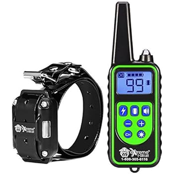 apricot maltipoo breeders