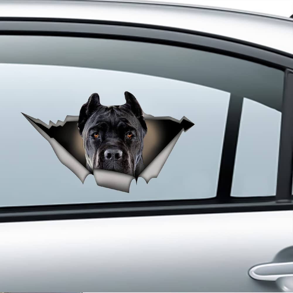 Cane Corso Adesivo Auto ⇒ Confronta Prezzi E Offerte - Foto 10