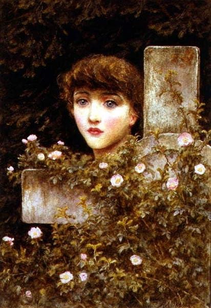 Cuadro sobre lienzo vintage que evoca la nostalgia poética de El dolor de una rosa salvaje