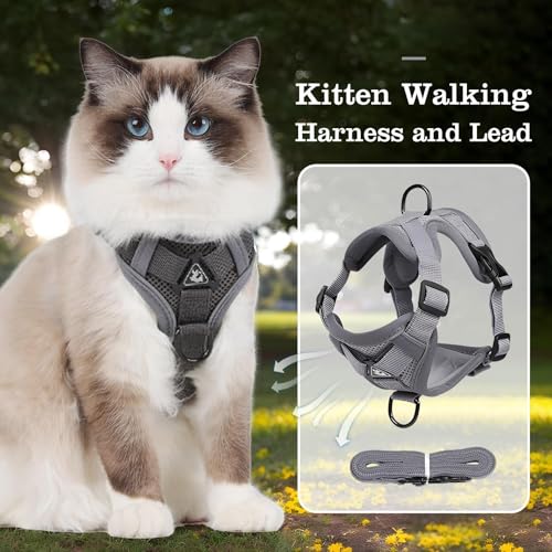 Arnés para gatos de alta resistencia y diseño ergonómico con sujeción regulable 3