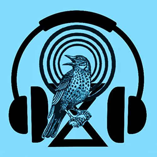 Race to Save the World - Rebel Radio Special Podcast Por  arte de portada