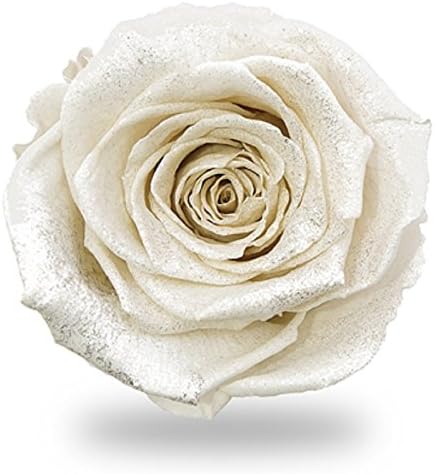 アモローサ Amorosa DI-PIN-04 Preserved Flowers, Diamond, Feminine Pink, 3 Wheels