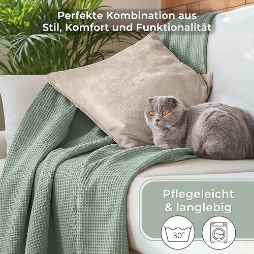 LAYNENBURG Premium Tagesdecke 240 x 260 cm XXL - Waffelpique 100% Baumwolle - leichte Wohndecke Waffeloptik - Baumwolldecke als… – Ansicht 6