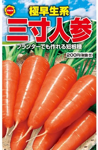 Amazon | アタリヤ農園 ガーデニング用品 種 三寸人参 | 野菜