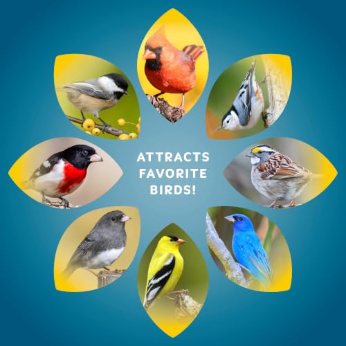 Image of Audubon Park Songbird Wild Bird Seed, 10 lb. | Year-round outdoor bird food for outside feeders