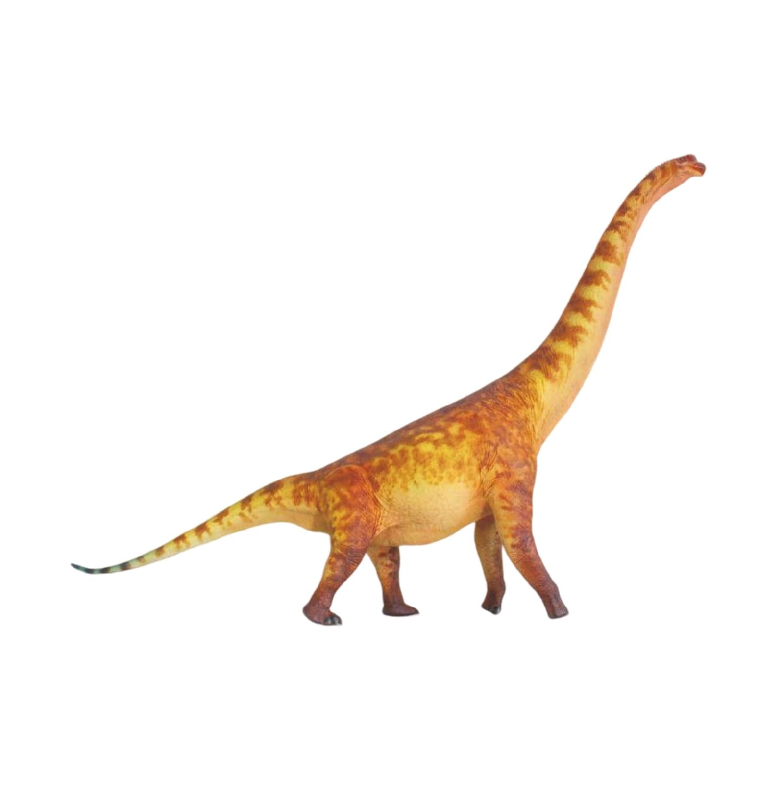 Amazon.co.jp: HAOLONGGOOD 1/35 サイズ ブラキオサウルス 59cm級 PVC 