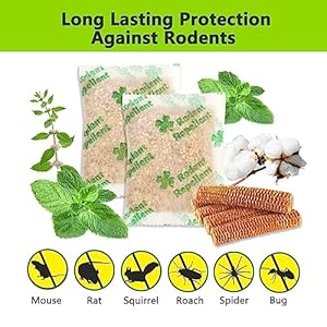 Mice-Repellent-for-House-10-PouchesPeppermint-Oil-to-Repel-Mice-and-Rats-Plant-Based-Mice-Repellent-for-House-Squirrel-Repellent-Rodent-Deterrent-for-Indoor-Use - Cucciolini Doodles   Mice-Repellent-for-House-10-PouchesPeppermint-Oil-to-Repel-Mice-and-Rats-Plant-Based-Mice-Repellent-for-House-Squirrel-Repellent-Rodent-Deterrent-for-Indoor-Use