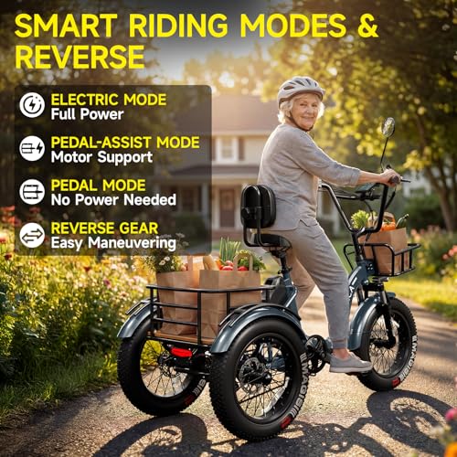 tccyica Electric Tricycle with Hydraulic Brakes
