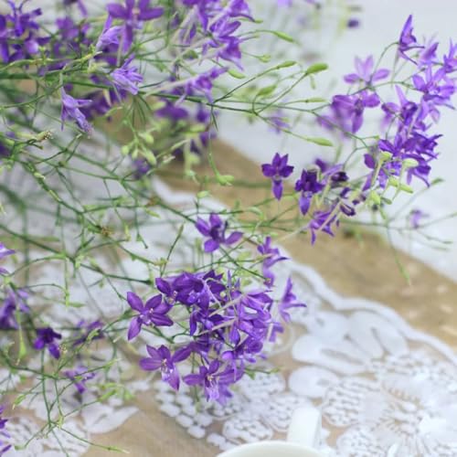 semi resistenti del delphinium, delphinium di campo da balcone, recisi Decorazione da giardino per esterno, balcone copertura 1000pcs