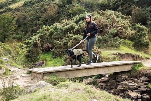 Impermeable y Resistente al Viento para Perro XL Mountain Paws Forro Polar Verde 8