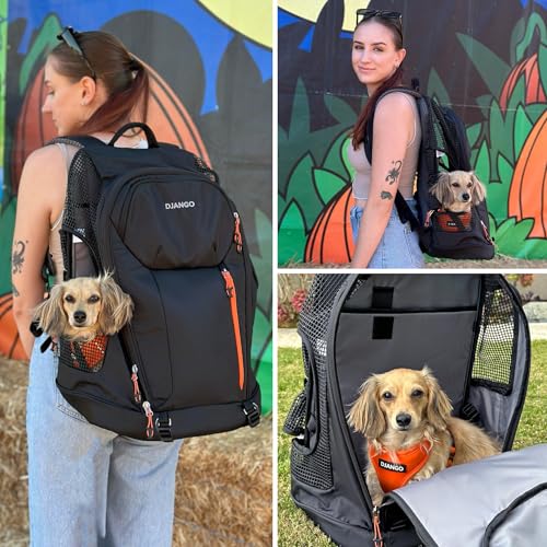 DJANGO Dog Carrier Backpack – Pet Backpack for Small Dogs & Cats with Hip Belt, Laptop Pocket & Water Bottle Sleeve – Travel Dog & Cat Carrier for Hiking, Camping & Commuting (Midnight Black)