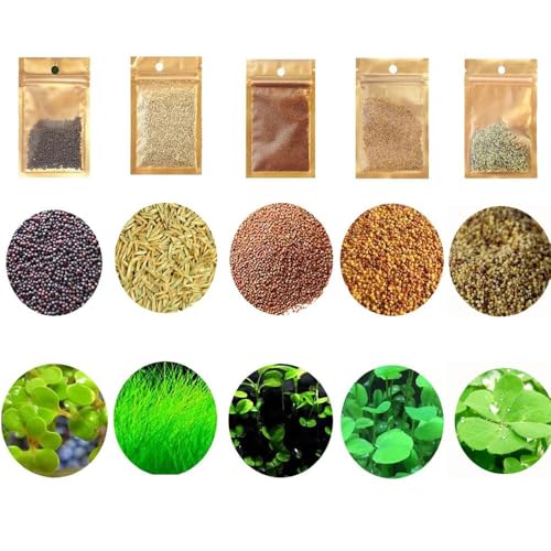 5 Aquarium Plants S.e.e.d Set, not Artifical, Fish Tank Decor