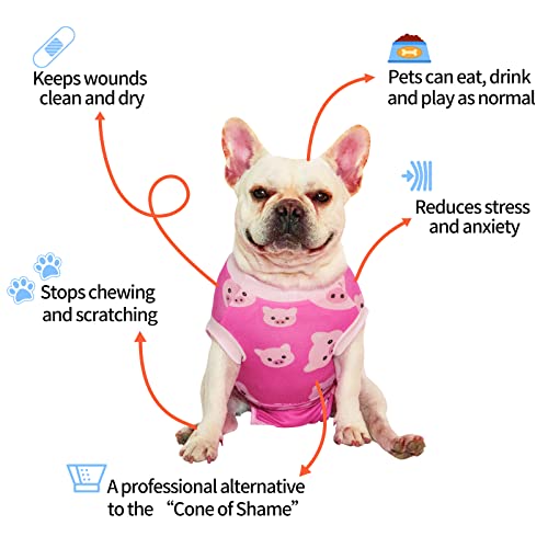 CuteBone Halloween-Hundechirurgie-Erholungsanzug Katze Chirurgischer Strampelanzug weibliche Körperanzüge männlich Verhindern Sie, DASS das Haustier Wunden leckt SSF01XS-DE