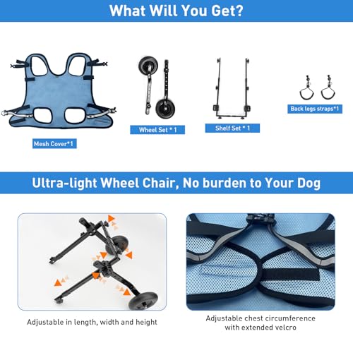 Chariot de rééducation pour petit chien S | Structure légère avec laisse - 7