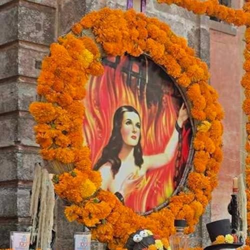 &Aacute;nima Sola - La leyenda de Celestina Abd&eacute;gano