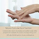 Natures Formulae Assainisseur à la main avec Aloe Vera et huile essentielle de menthe poivrée 355mL