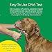 Dna My Dog – Essential Breed ID Test | Accurate DNA Analysis of 350+ Dog Breeds | Easy-to-Use Kit | Non-Invasive Cheek Swab | Results in 2 Weeks | Includes DNA Certificate & Detailed Breed Report