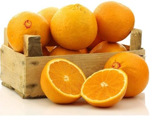 Gourmet Fruit Gift Basket - Orchard Fresh Oranges