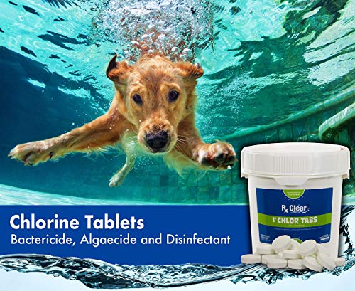 Rx Clear 1-Inch Stabilized Chlorine Tablets | Use As Bactericide, Algaecide, And Disinfectant In Swimming Pools And Spas | Slow Dissolving And Uv Protected | 8 Lbs #TOP5