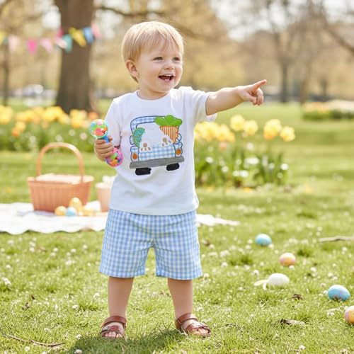 Image of Toddler Baby Boy Easter Rabbit Outfit Short Sleeve Bunny Carrot Smocked T-shirt Elastic Waist Shorts Summer Clothes