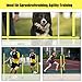 NAIZY Sprungstangen-Set Trainingsstangen für konditionelles Training Sprungkraft, Dribbling und Beweglichkeit (15 Stangen - 100cm, 10 X-Standfüße, 10 Clips) - Gelb