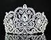 Victorian Clear White Austrian Rhinestone Crystal Tiara Crown With Hair Combs Princess Queen Headband Headpiece Jewelry Beauty Contest Birthday Bridal Prom Pageant T1505 (Clear)