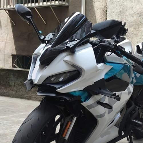 Ailerons carénage avant moto réduit guidonnage vitesse 300SR - 6