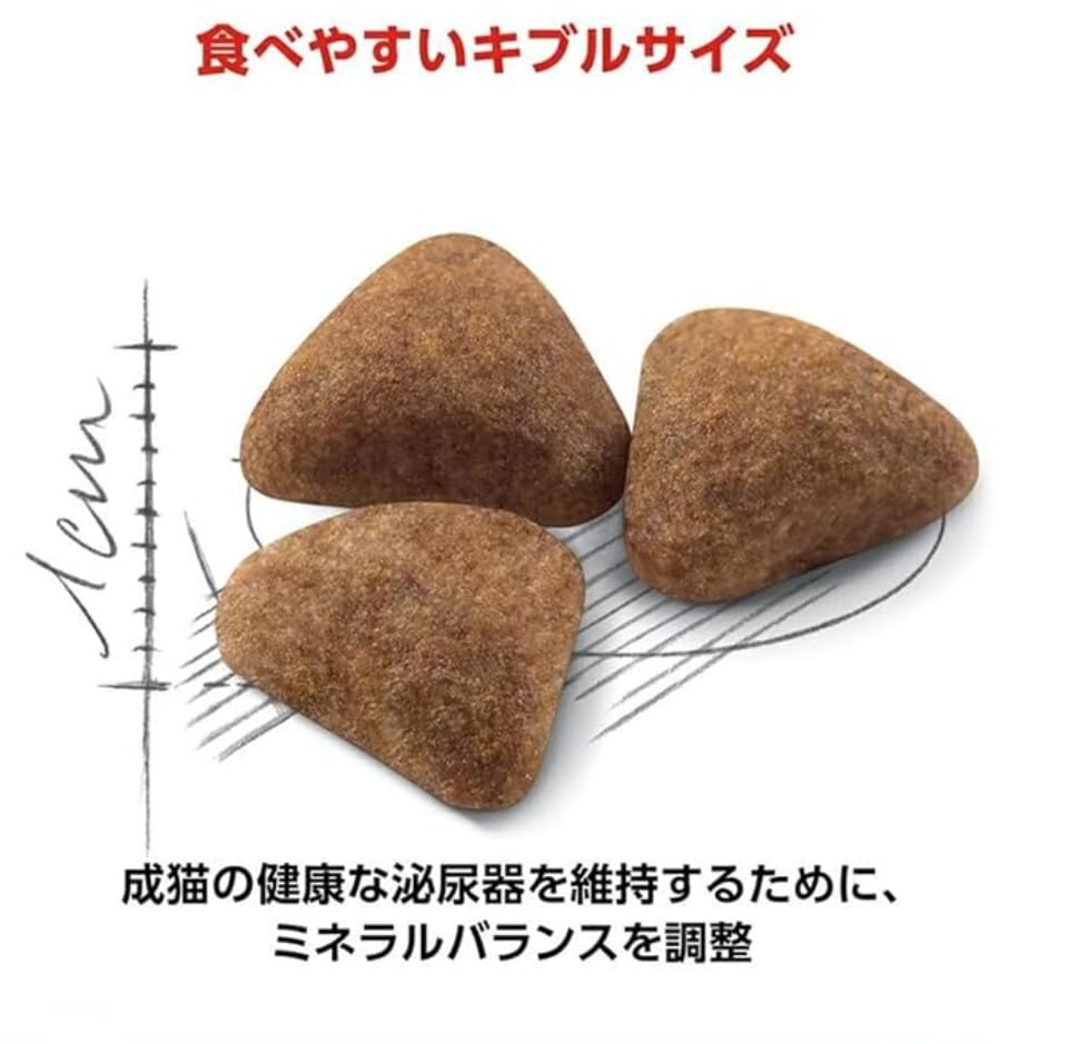 Amazon.co.jp: ロイヤル カナン インドア 成猫用 2kg+パウチ6個