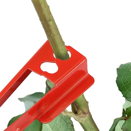 Miniatura 2 de Juego de 2 herramientas de mano para quitar espinas de metal, para rosas y jardín