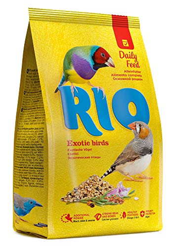 Rio Aliment Complet pour Oiseaux Exotiques | 500 g | Mélange spécialement formulé de graines et de céréales sélectionnées et appréciées | pour...