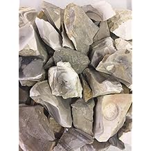 Hypnotic Gems Materials 18 lb Bulk Rough Flint Stones from Denmark - Raw Natural Crystals and Rocks for Cabbing, Lapidary, Tumbling, Polishing, Wire Wrapping, Wicca and Reiki Crystal Healing