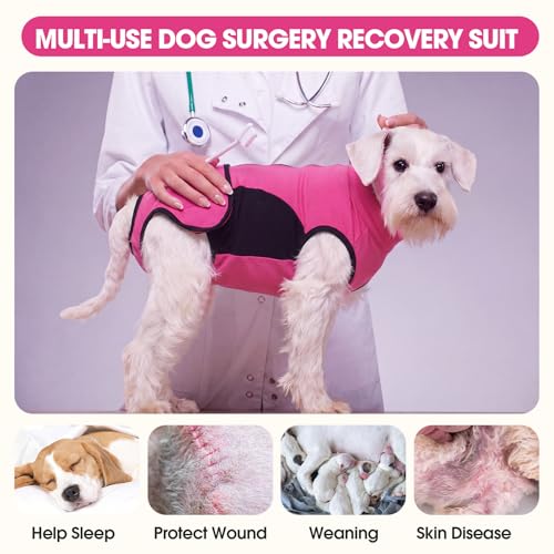 Image of IDOMIK Dog Surgery Recovery Suit for Spay Neuter, E-Collar Cone Alternative | Easy to Wear, Breathable & Protective, Adjustable Dog Onesie for Small Medium Large Dogs, Anti Licking Abdominal Wounds